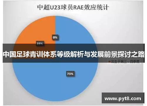 中国足球青训体系等级解析与发展前景探讨之路